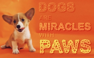 Dog Paws Font Download