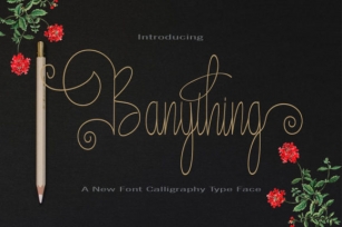 Banything Font Download