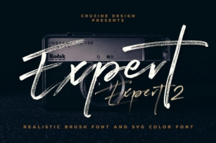 Expert Font Download