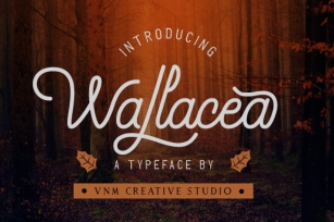 Wallacea Font Download