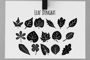 Leaf Dingbat Font Download