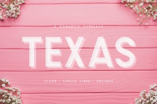 Texas | A Romantic Typeface Font Download