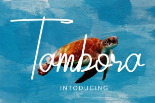 Tambora Font Download