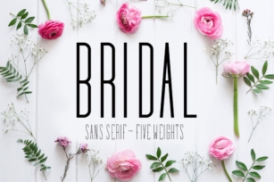Bridal Font Download