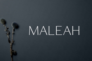 Maleah Font Download