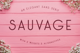 Sauvage Font Download