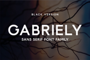 Gabriely Black Font Download