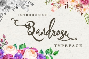 Bandrose Family Font Download