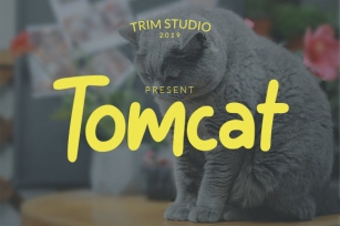 Tomcat Font Download