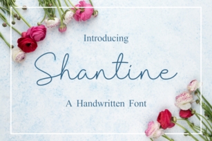 Shantine Font Download