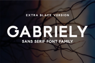 Gabriely Extra Black Font Download