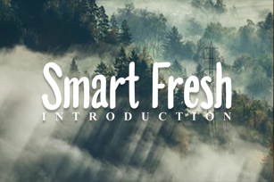 Smart Fresh Font Download