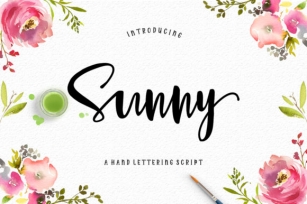 Sunny Script Font Download