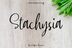 Stachysia Font Download