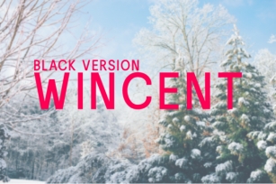 Wincent Black Font Download