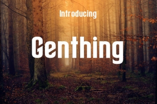 Genthing Font Download