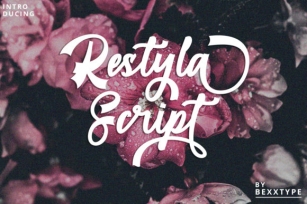 Restyla Script Font Download