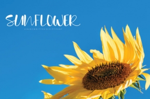 Sunflower Font Download