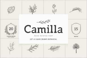 Camilla Font Download