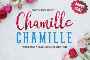 Chamille Script Font Download