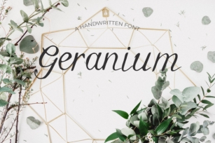 Geranium Font Download