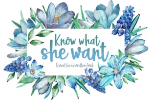 Know What She Want Font Download