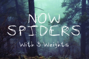 Now Spiders Font Download