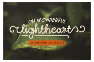 Oh Wonderful Lightheart Font Download