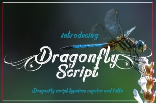 Dragonfly Script Font Download