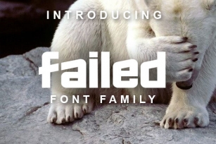 Failed Font Download