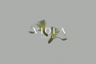Viola Font Download