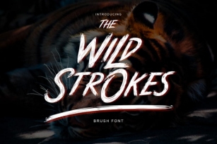 Wild Strokes Font Download
