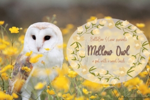 Mellow Owl Font Download