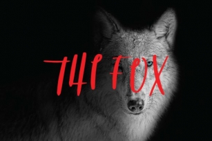 The Fox Font Download