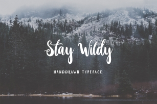 Stay Wildy Font Download