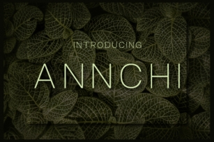 Annchi Font Download