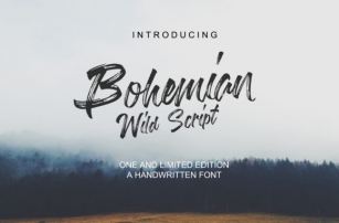 Bohemian Wild Script Font Download