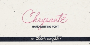 Chrysante Font Download