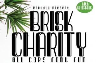 Brisk Charity Font Download