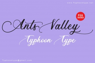 Ants Valley font Font Download