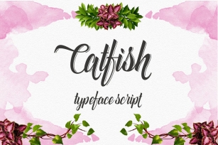 Catfish script Font Download