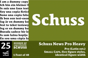 SchussNewsProHeavy No.25 (1) Font Download
