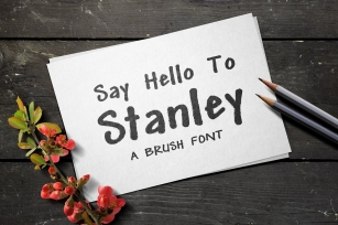 Stanley Brush Font Download