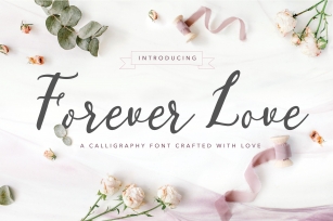 Forever Love: A Calligraphy Font Download