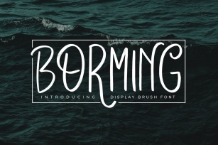 Borming Typeface Font Download