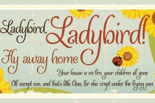 Ladybird Font Download