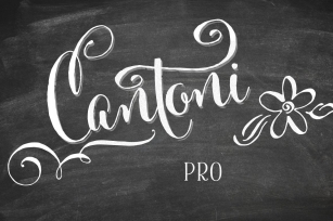 Cantoni Pro Hand Lettered Font Download