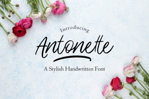 Antonette Font Download
