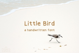 Little Bird a Handwritten Font Download