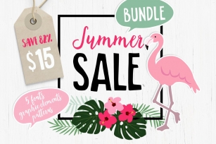 Summer Sale Bundle 82% OFF Font Download
